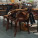 Assises